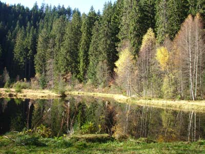 fastenwandern_schwarzwald_karsee