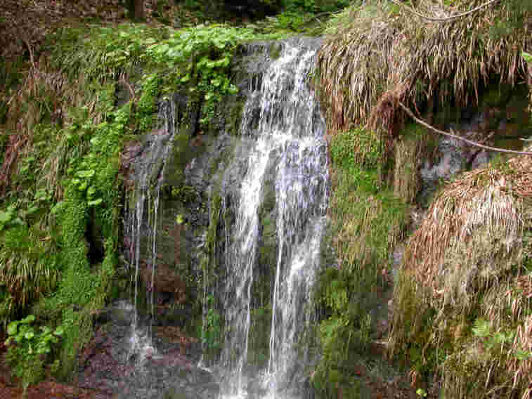 fastenwandern_mit_wasserfall_im_schwarzwald